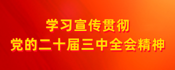 学习宣传贯彻党的二十届三中全会精神